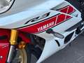 Yamaha YZF320 60th Anniversary YZF320-A - thumbnail 8