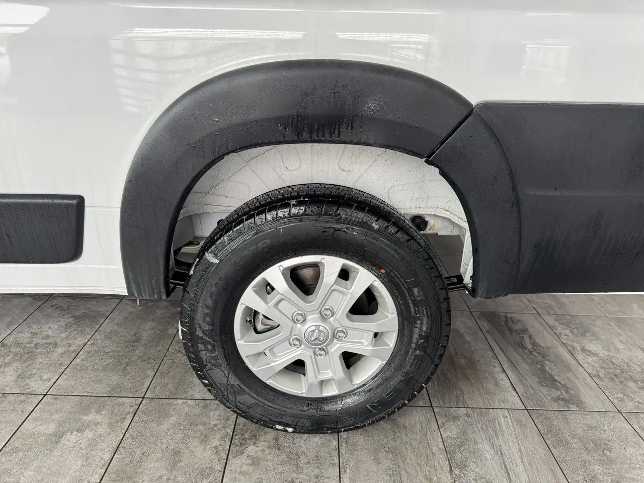 RAM Promaster снимка RAM Promaster