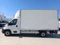 Fiat Ducato Ch.Cb.Maxi 35 2.2Mjt L4 H1 140CV Blanco - thumbnail 4