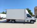 Fiat Ducato Ch.Cb.Maxi 35 2.2Mjt L4 H1 140CV Blanco - thumbnail 5