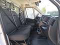 Fiat Ducato Ch.Cb.Maxi 35 2.2Mjt L4 H1 140CV Blanco - thumbnail 14