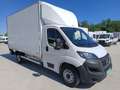 Fiat Ducato Ch.Cb.Maxi 35 2.2Mjt L4 H1 140CV Blanco - thumbnail 2