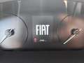 Fiat Ducato Ch.Cb.Maxi 35 2.2Mjt L4 H1 140CV Blanco - thumbnail 12