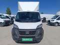 Fiat Ducato Ch.Cb.Maxi 35 2.2Mjt L4 H1 140CV Blanco - thumbnail 6
