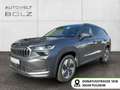 Skoda Kodiaq 2.0 TDI 4x4 Selection HUD Pano Kamera Nav Grau - thumbnail 1