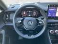 Skoda Kodiaq 2.0 TDI 4x4 Selection HUD Pano Kamera Navi Digital Grau - thumbnail 14