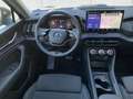 Skoda Kodiaq 2.0 TDI 4x4 Selection HUD Pano Kamera Nav Grau - thumbnail 13