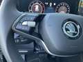 Skoda Kodiaq 2.0 TDI 4x4 Selection HUD Pano Kamera Nav Grau - thumbnail 22