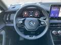 Skoda Kodiaq 2.0 TDI 4x4 Selection HUD Pano Kamera Nav Grau - thumbnail 14