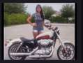 Harley-Davidson Sportster 883 super Low Blanco - thumbnail 1