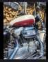 Harley-Davidson Sportster 883 super Low Blanco - thumbnail 3