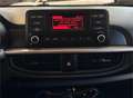 Kia Picanto 1.0 CVVT EconomyPlusLine | Cruise Control | Blueto Rot - thumbnail 15
