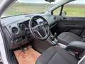Opel Meriva 1,6 CDTI Ecotec Edition Start/Stop System Weiß - thumbnail 5