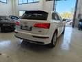 Audi Q5 Q5 40 2.0 tdi S-LINE quattro 190cv s-tronic Blanc - thumbnail 5