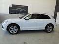 Audi Q5 Q5 40 2.0 tdi S-LINE quattro 190cv s-tronic Blanc - thumbnail 4