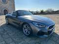 BMW Z4 sDrive20i M-Sport Frozen Grey Gris - thumbnail 26