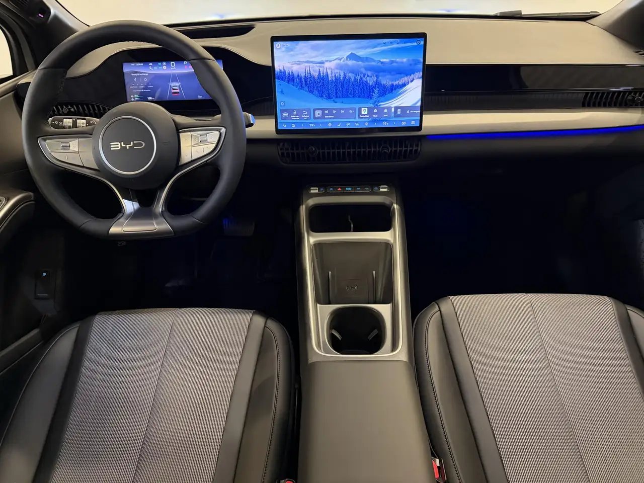 BYD Dolphin G 2026