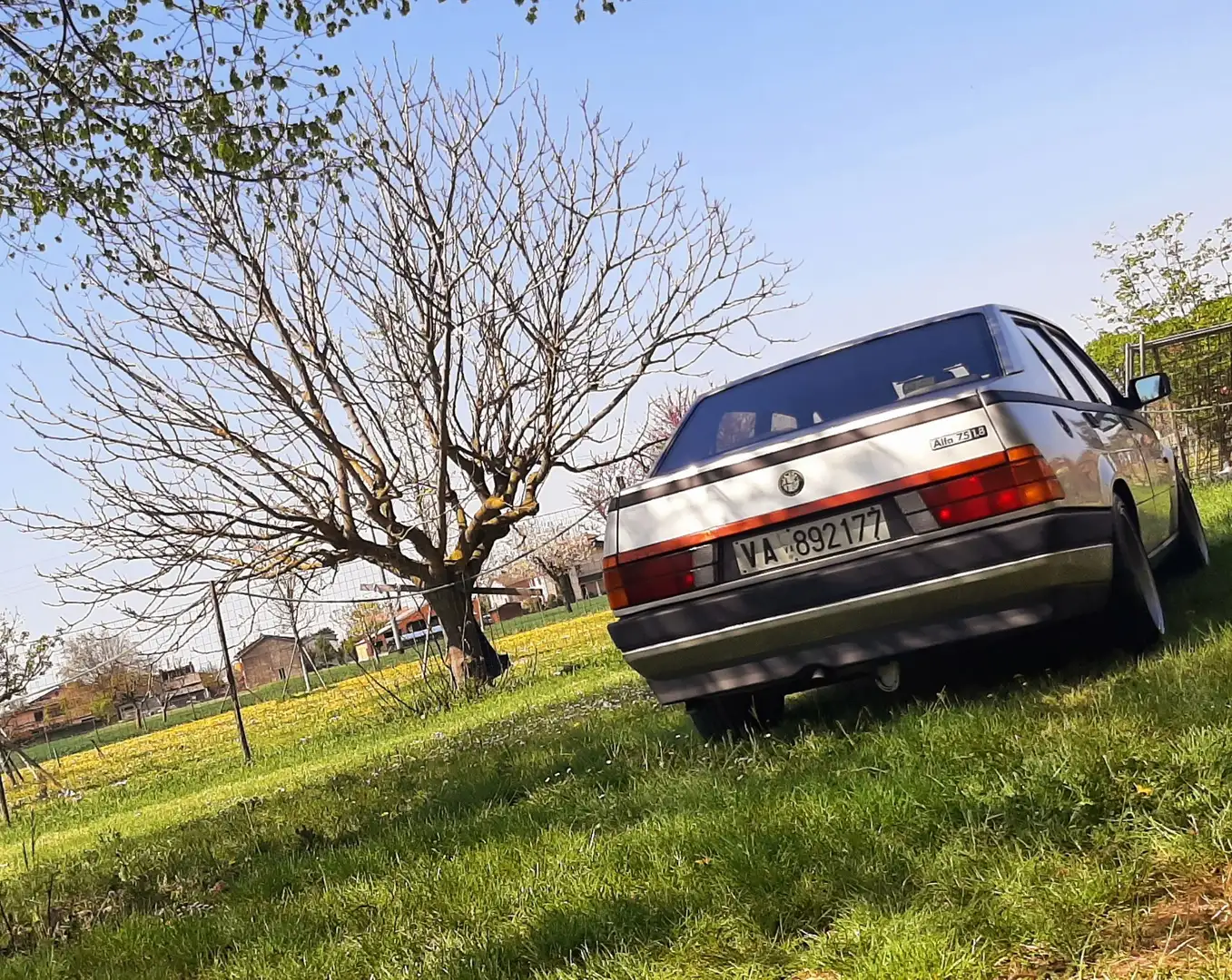 Alfa Romeo 75 1800 Carburatori Prima Serie - 2