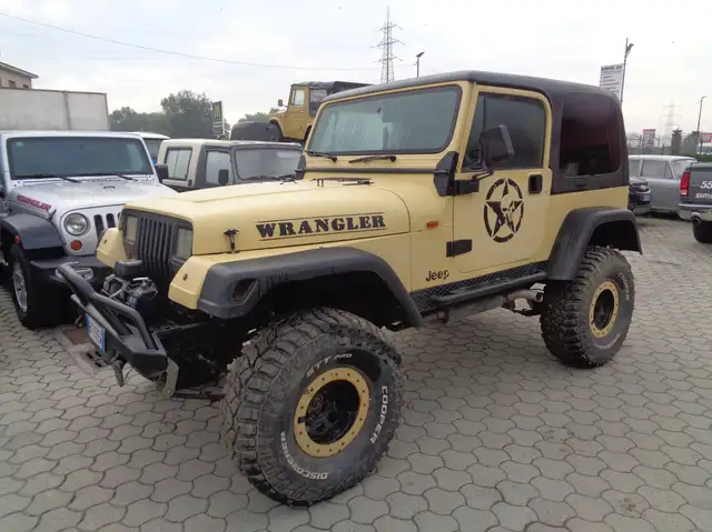 Jeep Wrangler Wrangler YJ 4.0 gpl