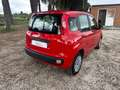 Fiat Panda 1.2 Pop Rosso - thumbnail 5