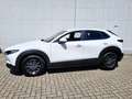 Mazda CX-30 G140PS 6MT 2WD 2.5L PRIME-LINE Blanc - thumbnail 3