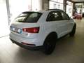 Audi Q3 Q3 2.0tdi quattro -AUTOMATICA UNIPROPRIETARIO Blanc - thumbnail 5