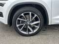 Skoda Kodiaq Sportline 2.0 TDI AHK LED KAMERA STHZ PDC Weiß - thumbnail 7