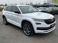 Skoda Kodiaq Sportline 2.0 TDI AHK LED KAMERA STHZ PDC Weiß - thumbnail 2