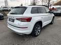 Skoda Kodiaq Sportline 2.0 TDI AHK LED KAMERA STHZ PDC Weiß - thumbnail 5