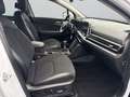 Kia Sportage 1,6 CRDI 48V Launch Edition Weiß - thumbnail 8
