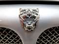 Jaguar X-Type 2.0D Executive Plateado - thumbnail 9