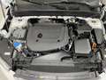 Volvo XC40 B4 Momentum Pro AWD Aut. Blanco - thumbnail 34