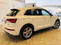 Audi Q5 40 TDI quattro-ultra Genuine S tronic 150kW Blanc - thumbnail 2