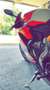 Ducati Panigale V2 CORSA 959 - thumbnail 5