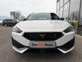 CUPRA Leon TRIBE VZ eHYBRID DSG 245 Weiß - thumbnail 8