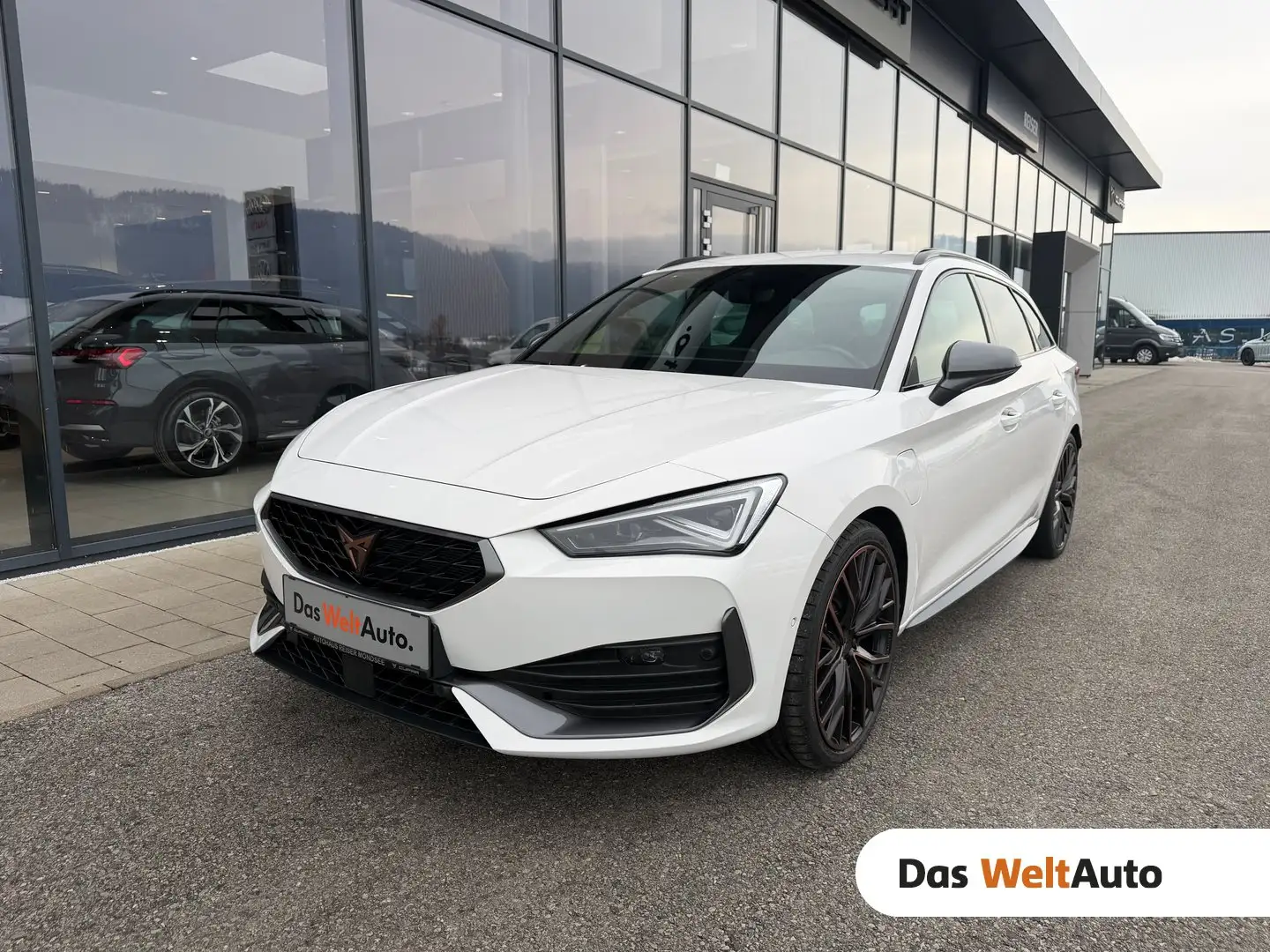 CUPRA Leon TRIBE VZ eHYBRID DSG 245 Weiß - 1