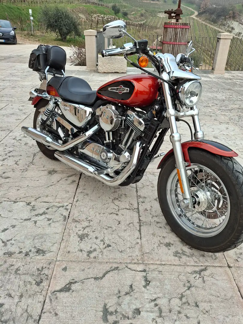 Harley-Davidson 1200 Custom XL1200C Arancione - 1