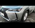 Lexus UX 250h - UX Hybrid Executive Bronzo - thumbnail 9