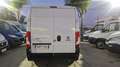 Fiat Ducato L3 H2 MAXI 2.3 MJT 140 CV EURO 6 Blanc - thumbnail 4