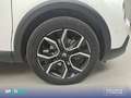 Citroen C4 X Eléctrico Shine 100kW Bianco - thumbnail 11