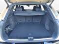 Audi Q5 SUV TDI quattro 150 kW S tronic Gold - thumbnail 11
