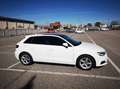 Audi A3 A3 III 2016 Sportback Sportback 1.6 tdi 110cv Blanco - thumbnail 12