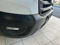 Ford Transit 310 2.0TDCi EcoBlue 130CV PM-TM Furgone Trend Bianco - thumbnail 15