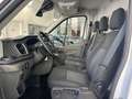 Ford Transit 310 2.0TDCi EcoBlue 130CV PM-TM Furgone Trend Bianco - thumbnail 13