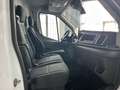 Ford Transit 310 2.0TDCi EcoBlue 130CV PM-TM Furgone Trend Bianco - thumbnail 11
