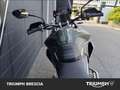 Triumph Tiger 900 Rally Pro Abs Verde - thumbnail 7