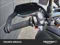 Triumph Tiger 900 Rally Pro Abs Verde - thumbnail 8