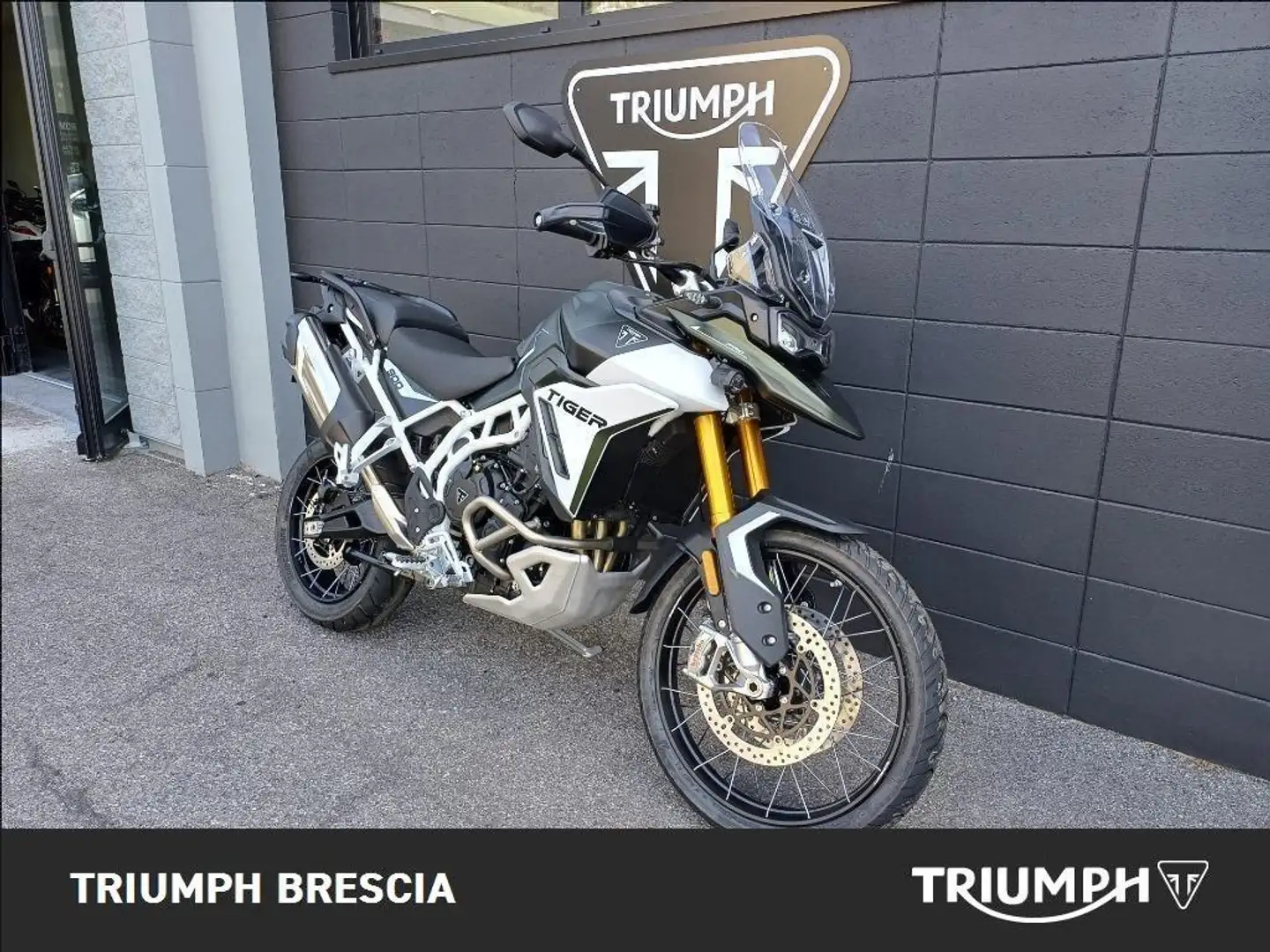 Triumph Tiger 900 Rally Pro Abs Verde - 2