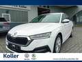 Skoda Octavia Octavia Combi 1.4 TSI iV DSG Navi beh.Lenkrad  LED Weiß - thumbnail 1