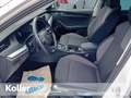 Skoda Octavia Octavia Combi 1.4 TSI iV DSG Navi beh.Lenkrad  LED Weiß - thumbnail 9